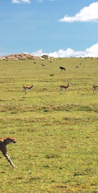 slideshow_destination_tanzanie_9