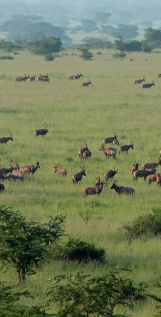 02-queen-elizabeth-national-park-ouganda
