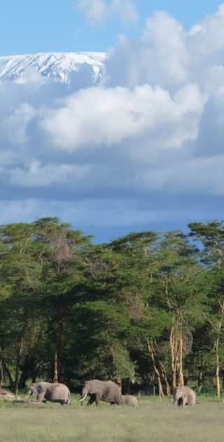 07-amboseli-kenya