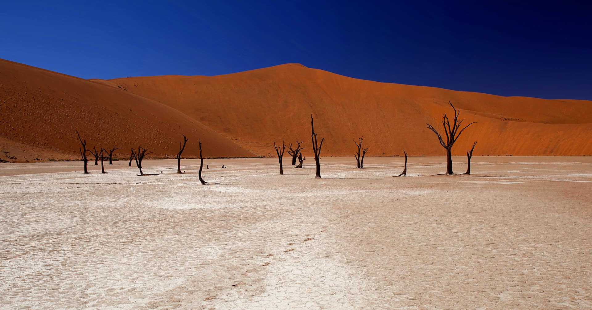 desert de namib