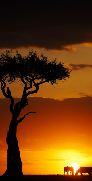 slideshow_kenya_1
