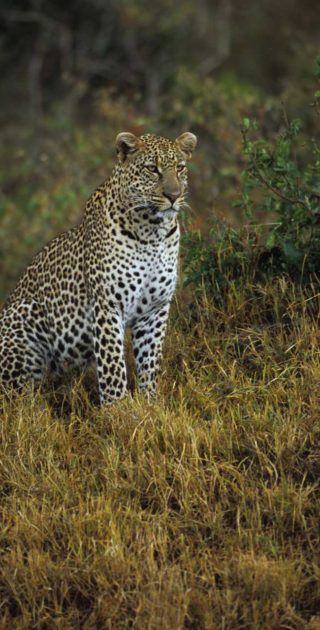slideshow_kenya_2