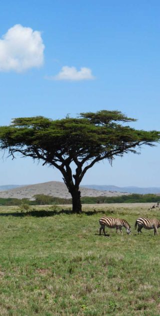 slideshow_kenya_5