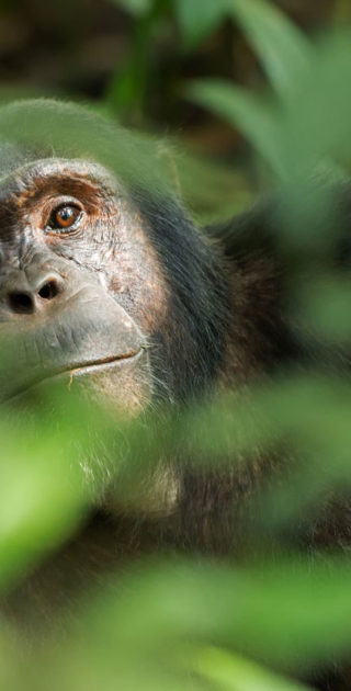 slideshow_ouganda_4