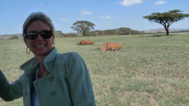La population de rhinocéros augmente dans la réserve de Lewa au Kenya ! (13/03/2021)