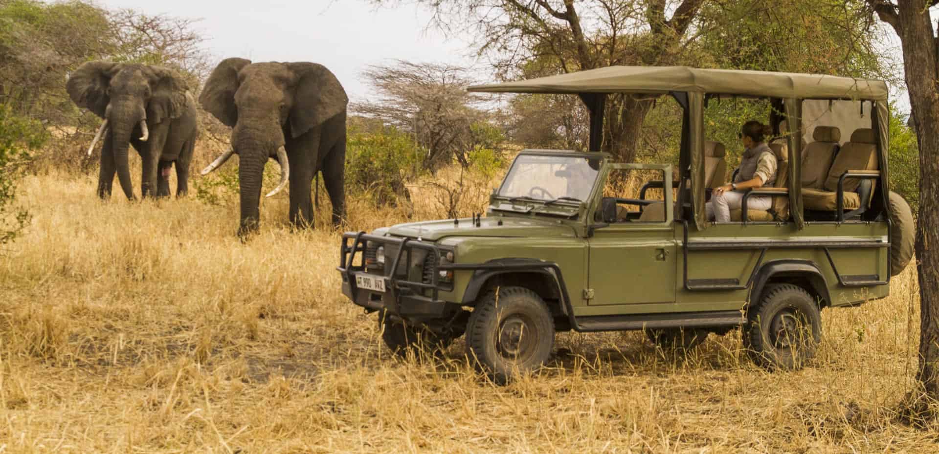 safari 4x4 afrique