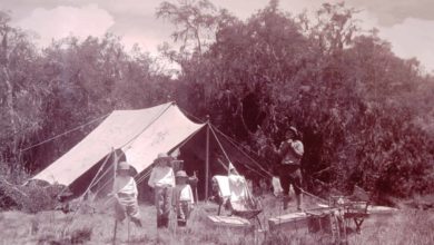 La saga de la famille Cottar au Kenya. Parmi les pionnières en safari !